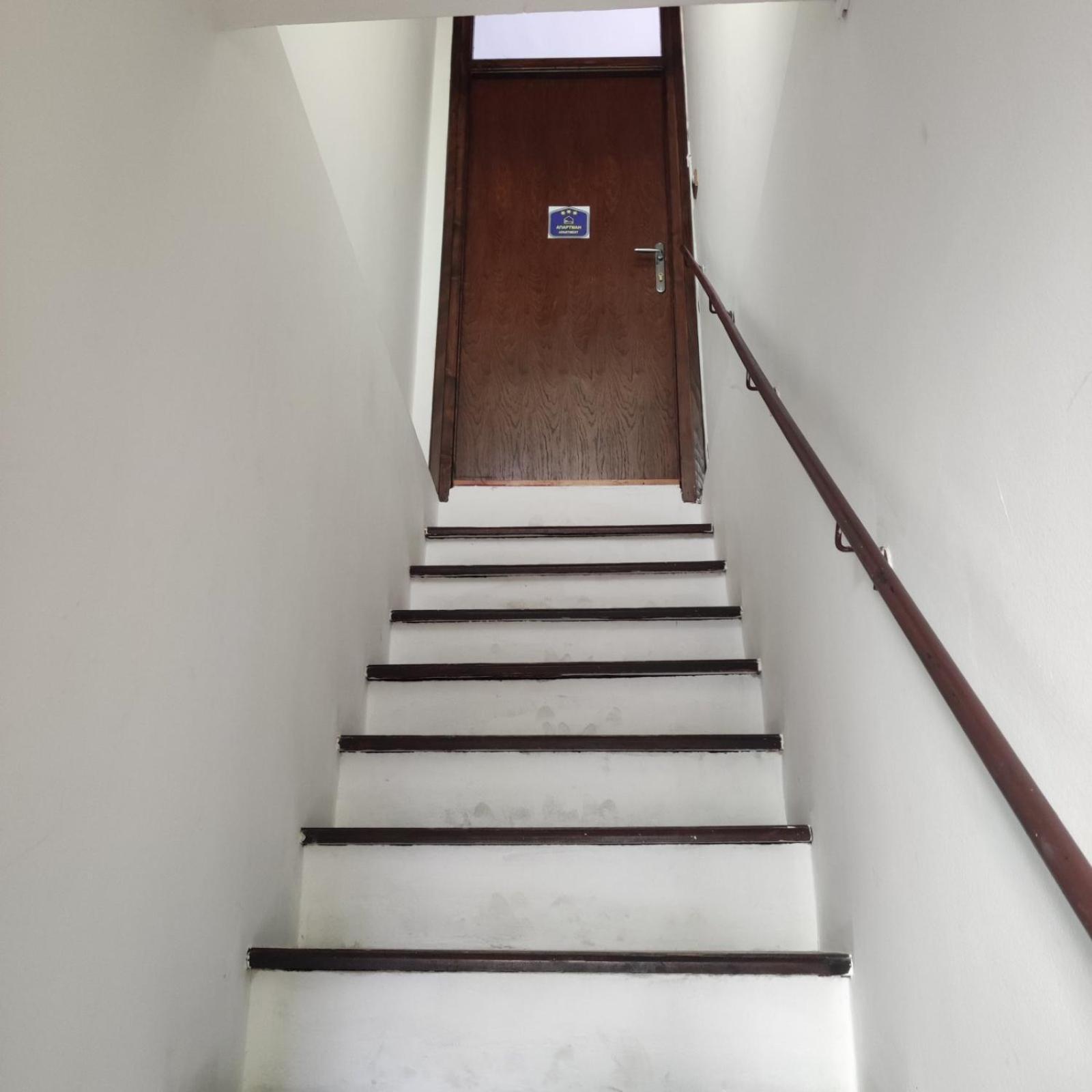 Red Tree Apartment Belgrado Exterior foto